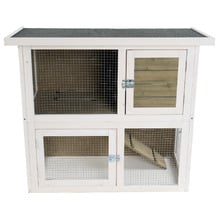 White Cavy Hutch